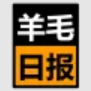 羊毛日报