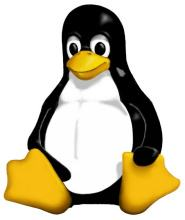 JSLinux